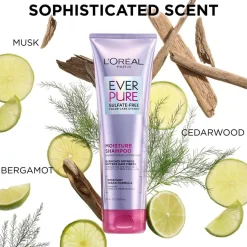 Sulfate Free Moisture Conditioner for Hydrating Dry Hair